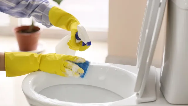 BigCleaning-DeHygienique
