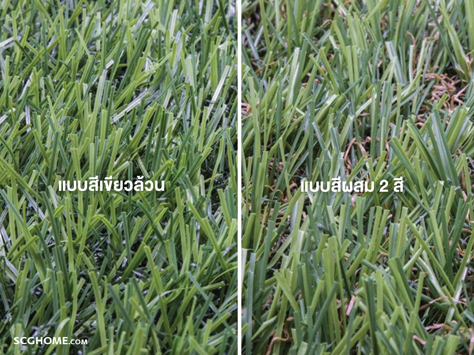 ตัวอย่างสีของหญ้าเทียม