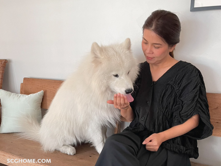 ปูพื้นกันลื่น พื้นกันกระแทก พื้นลดแรงกระแทก UNIX ถนอมข้อสะโพกสัตว์เลี้ยง