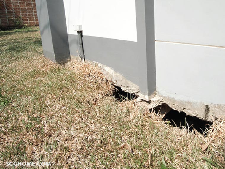 Singleimage ดินทรุด เกิดโพรงใต้บ้าน