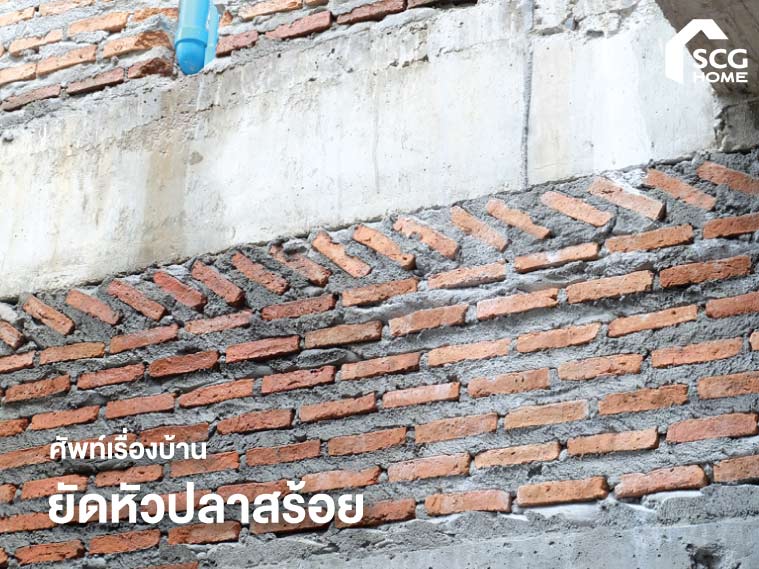 ศัพท์เรื่องบ้าน: ยัดหัวปลาสร้อย