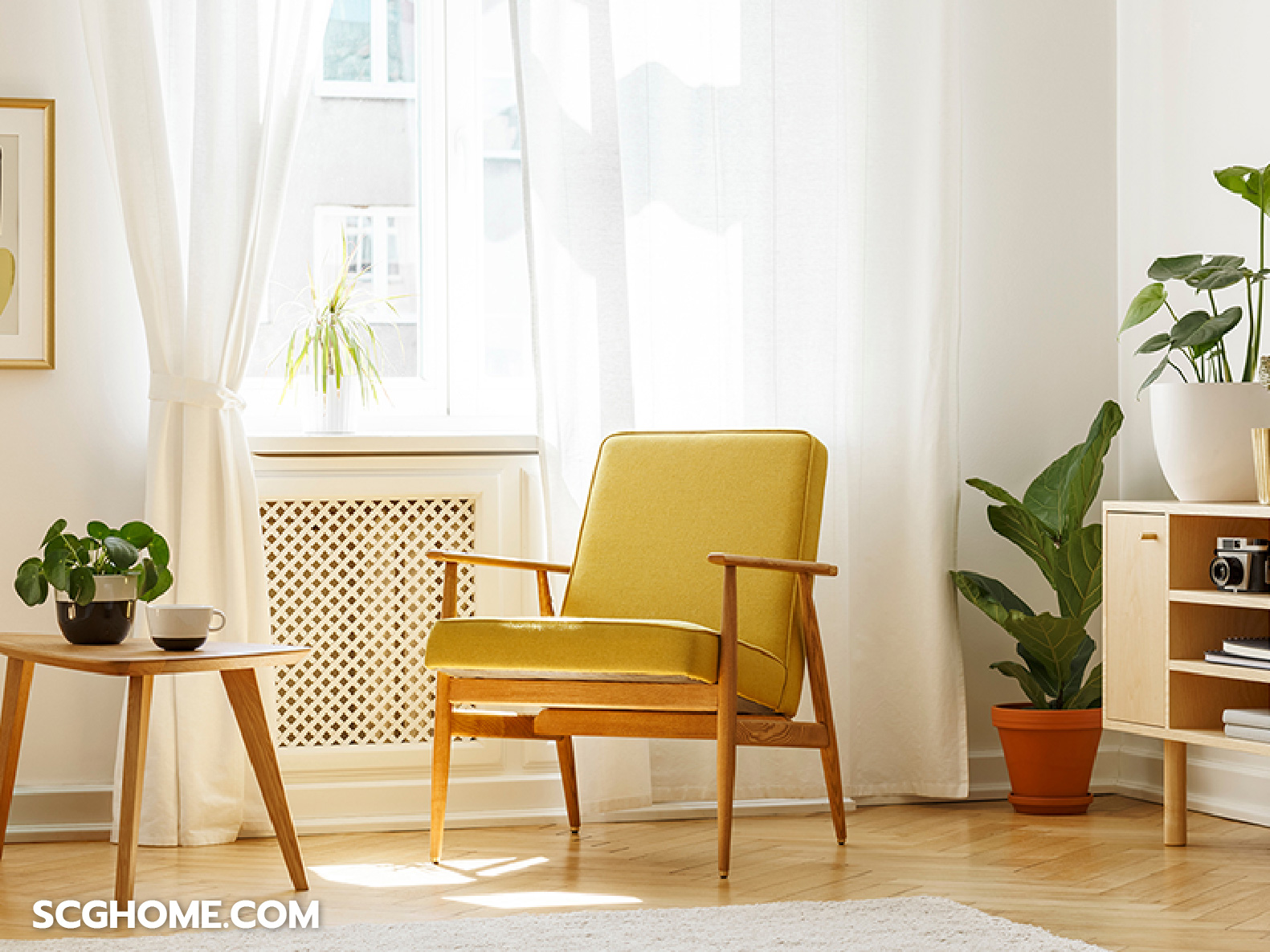 บ้าน mid century modern ธรรมชาติ