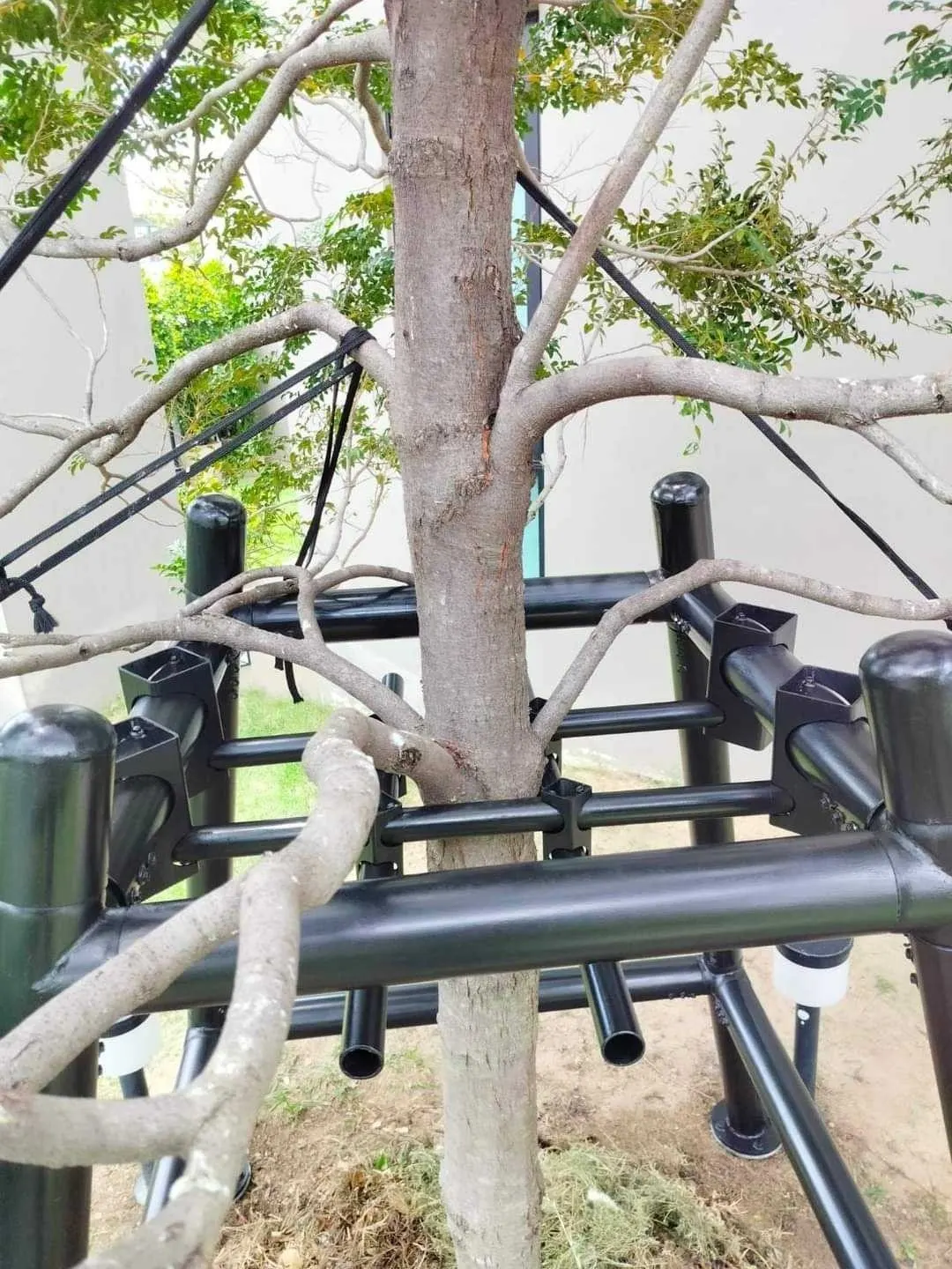 ค้ำยันต้นไม้แบบเหล็ก