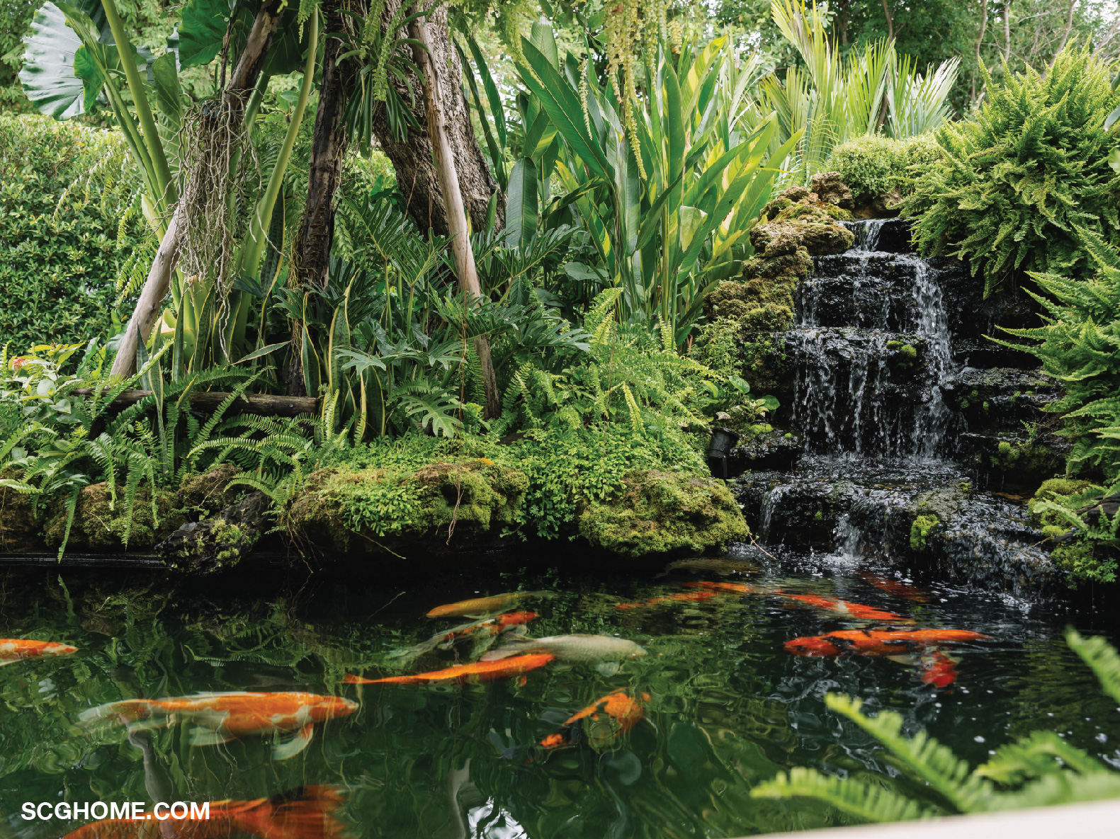 บ่อปลาคาร์ปและสวนน้ำตก