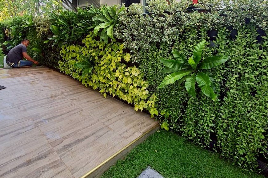 บริการจัดสวนแนวตั้ง