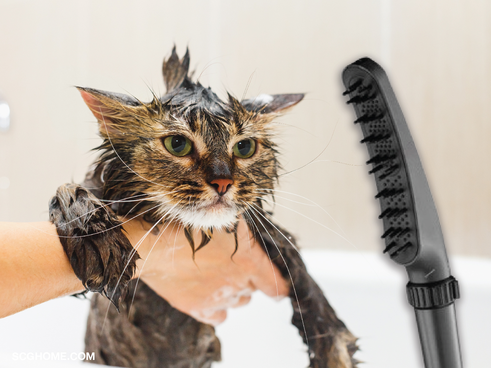 ฝักบัวอาบน้ำแมว ฝักบัวอาบน้ำสัตว์เลี้ยง ฝักบัวสำหรับสัตว์