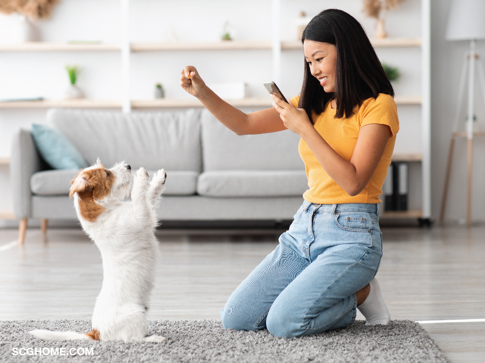 เลี้ยงหมาในบ้าน บ้านหมา