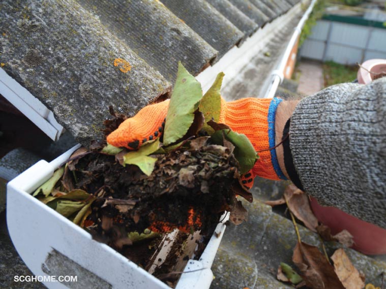 ทำงานบ้าน ทำความสะอาดบ้าน การดูแลรักษาบ้าน รางน้ำฝนตัน ทำความสะอาดรางน้ำฝน