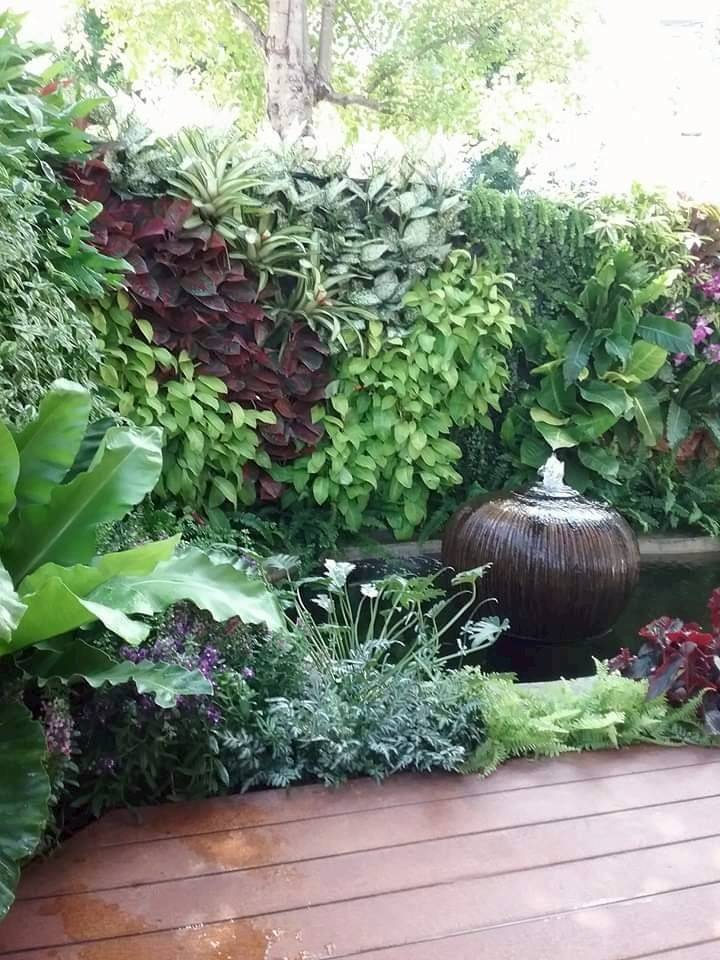 บริการจัดสวนแนวตั้ง