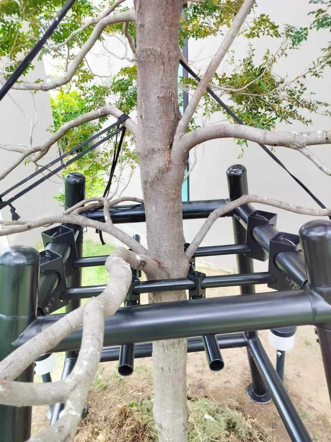 ค้ำยันต้นไม้แบบเหล็ก