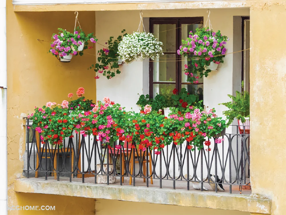 SCGHome-จัดสวน ไอเดียจัดสวน สวนดอกไม้