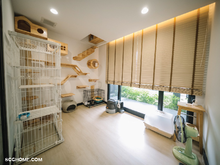 ห้องแมวชั้นล่างที่เชื่อมไปยังชั้นบนได้