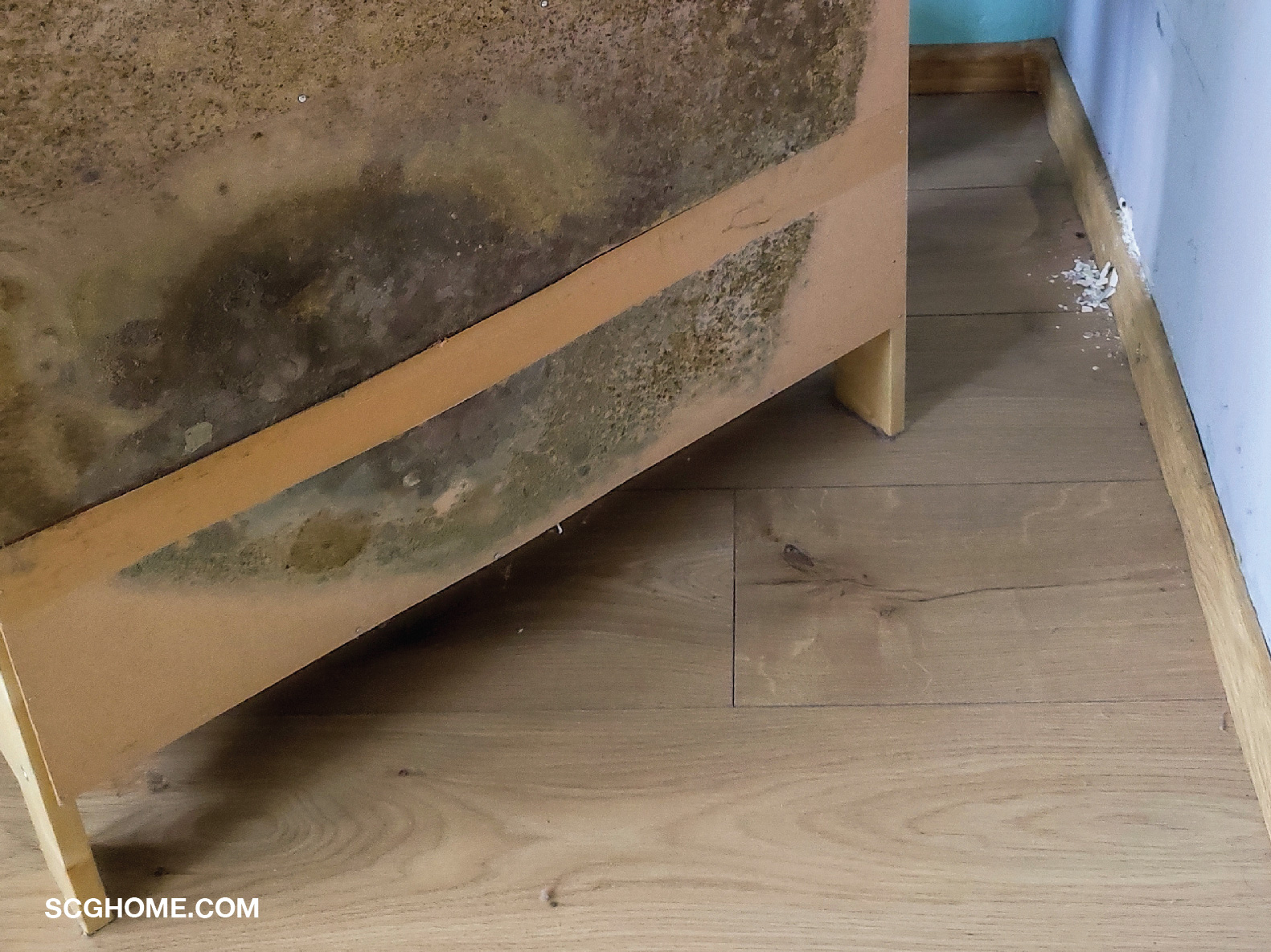 เฟอร์นิเจอร์ขึ้นเชื้อรา