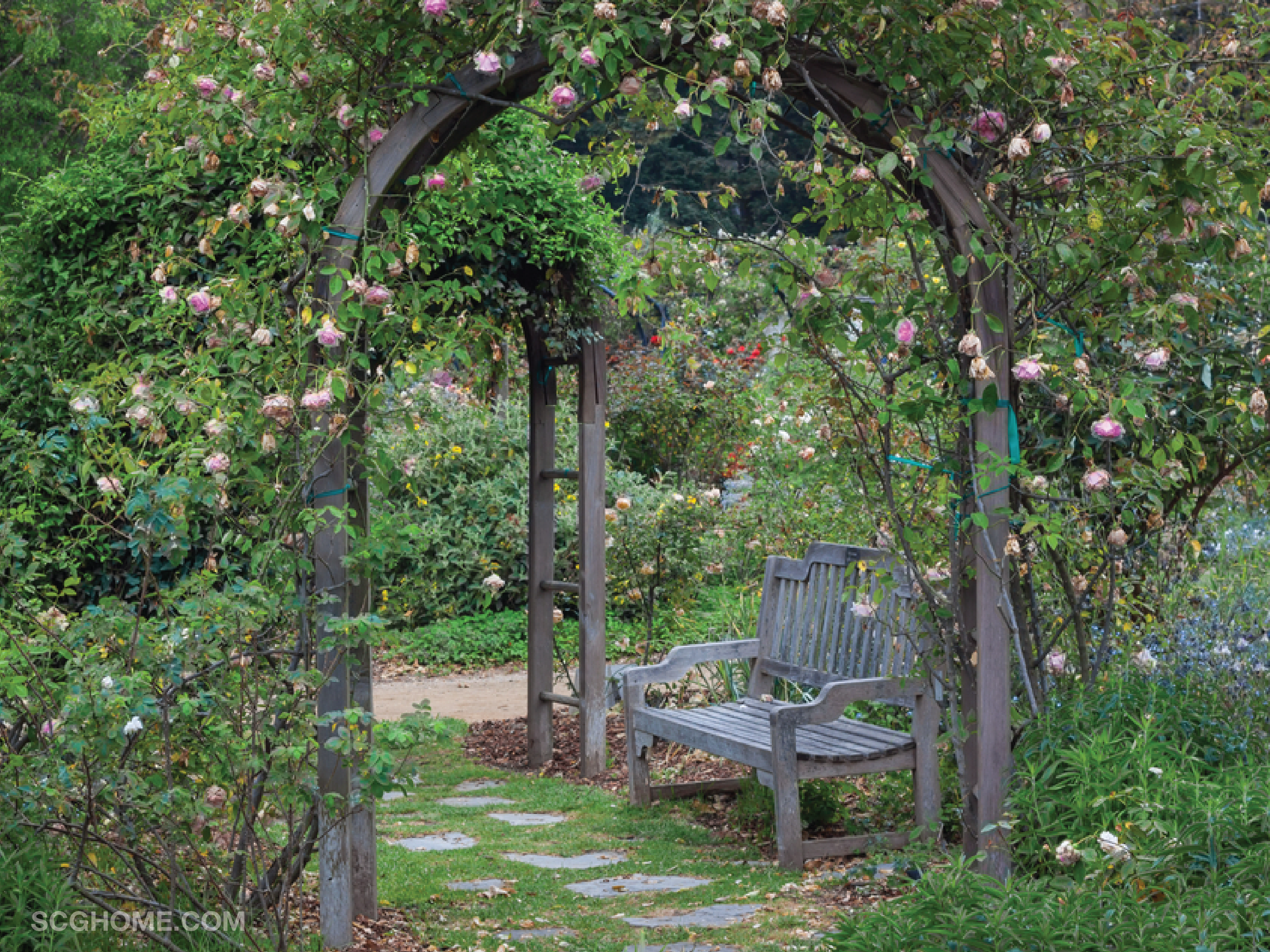 SCGHome scg สวนฤดูฝน ดูแลสวน จัดสวน แต่งสวน สวนหน้าบ้าน ซุ้มไม้ ซุ้มไม้เลื้อย ซุ้มต้นไม้