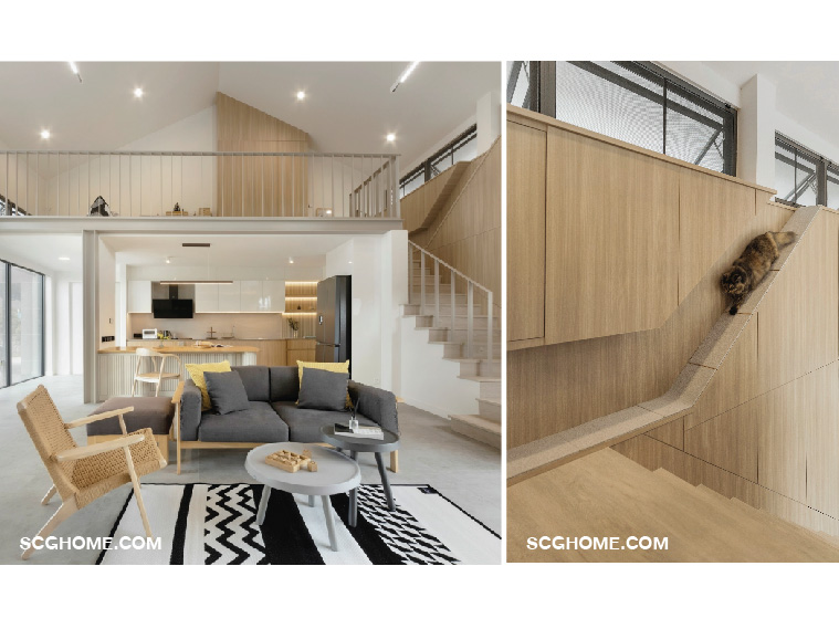 ชั้นลอยและทางเดินของน้องแมว