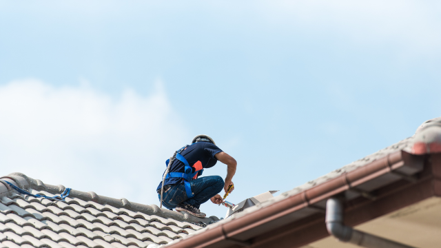 RoofRepairAndCeiling