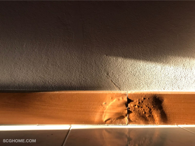 ขอบบัว พื้นปาเก้