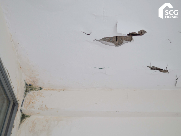 จัดการปัญหาหลังคาดาดฟ้ารั่ว เอาชัวร์ก่อนฝนมา