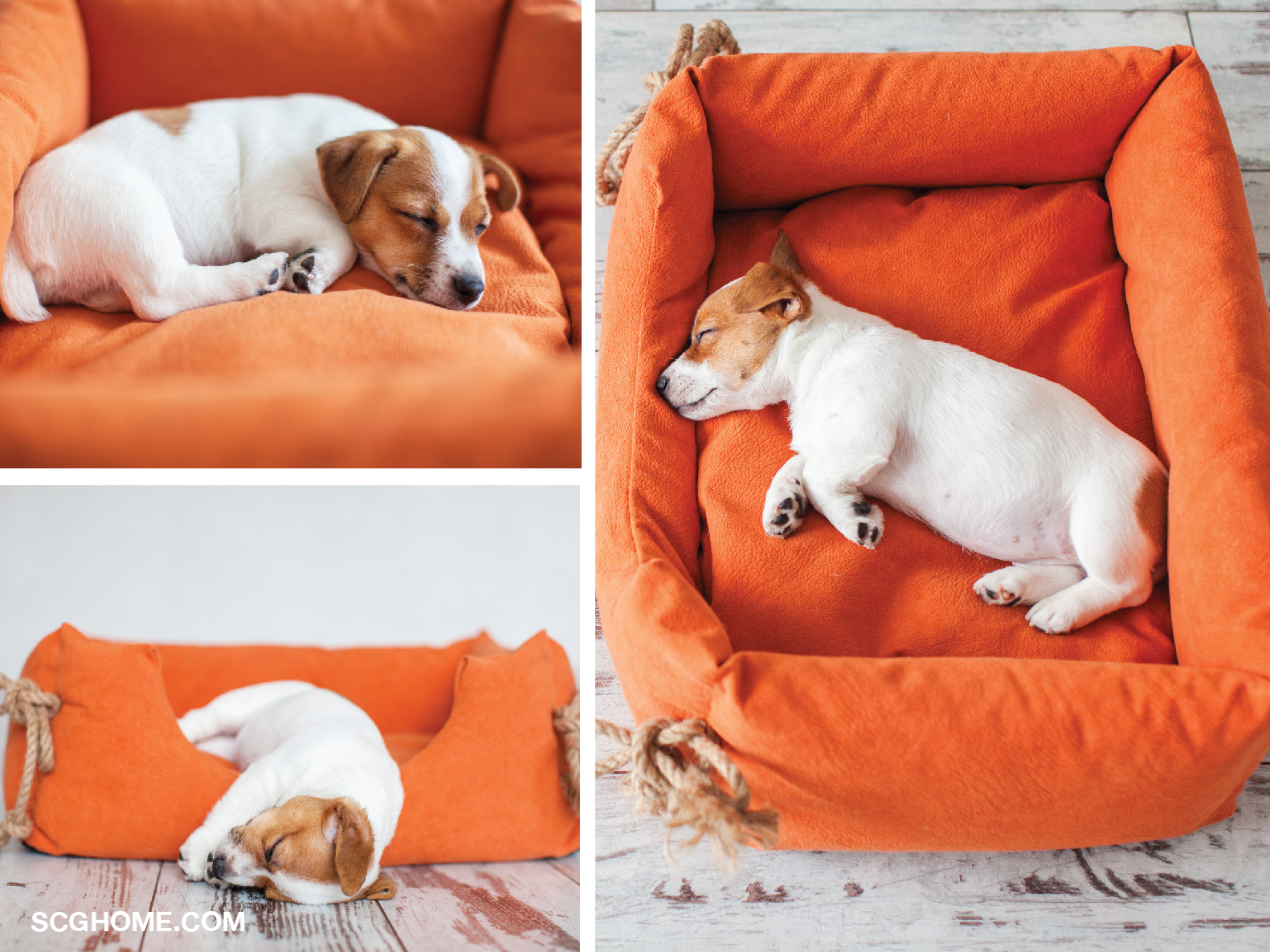ดูแลหมา เบาะนอนสำหรับหมา ที่นอนหมา บ้านหมา