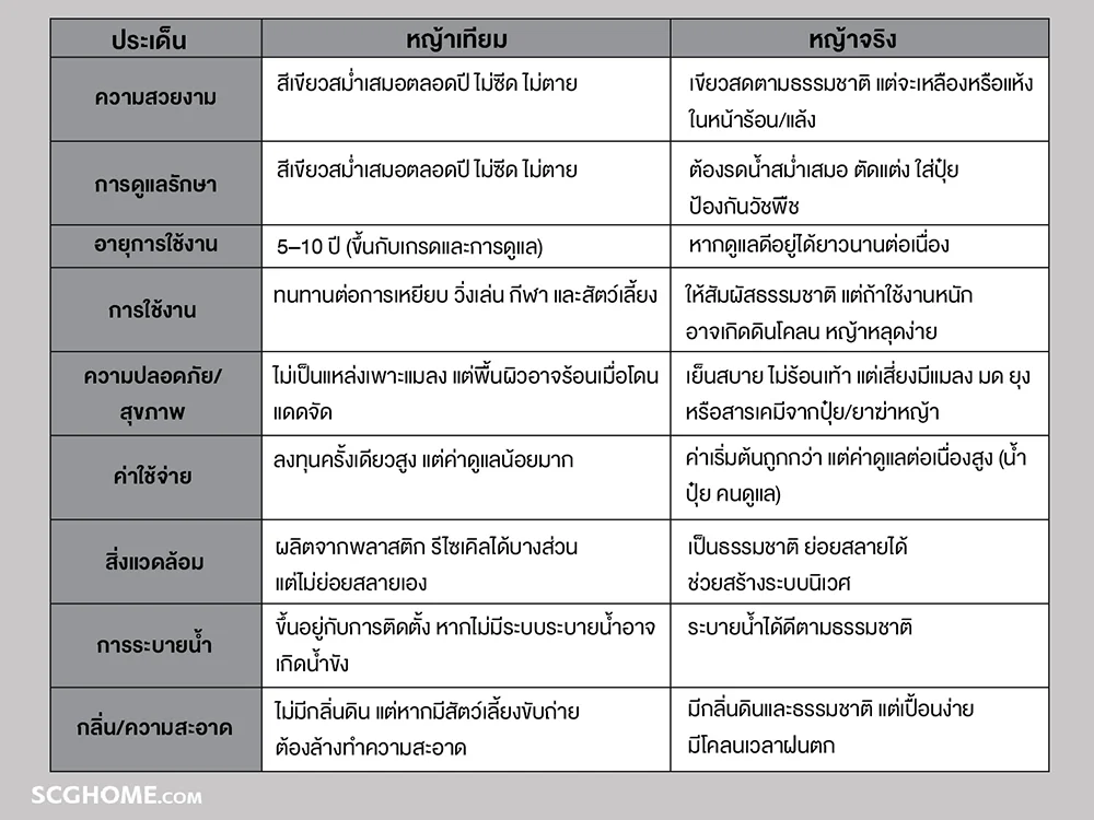 ข้อแตกต่างของหญ้าเทียมกับหญ้าจริง