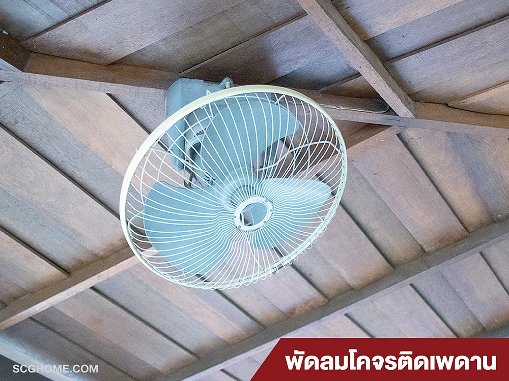 พัดลมโคจร พัดลมเพดาน พัดลมโคจรติดเพดาน