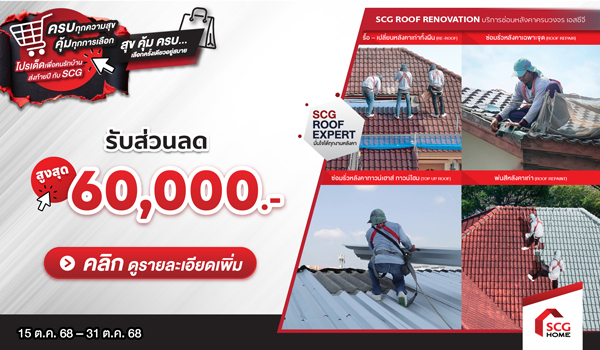 บริการปรับปรุงหลังคาครบวงจร เปลี่ยนหลังคาทั้งผืน ซ่อมรั่วเฉพาะจุด (บ้านเดี่ยว) Top-up roof บ้านทาวน์เฮ้าส์ และพ่นสีหลังคา