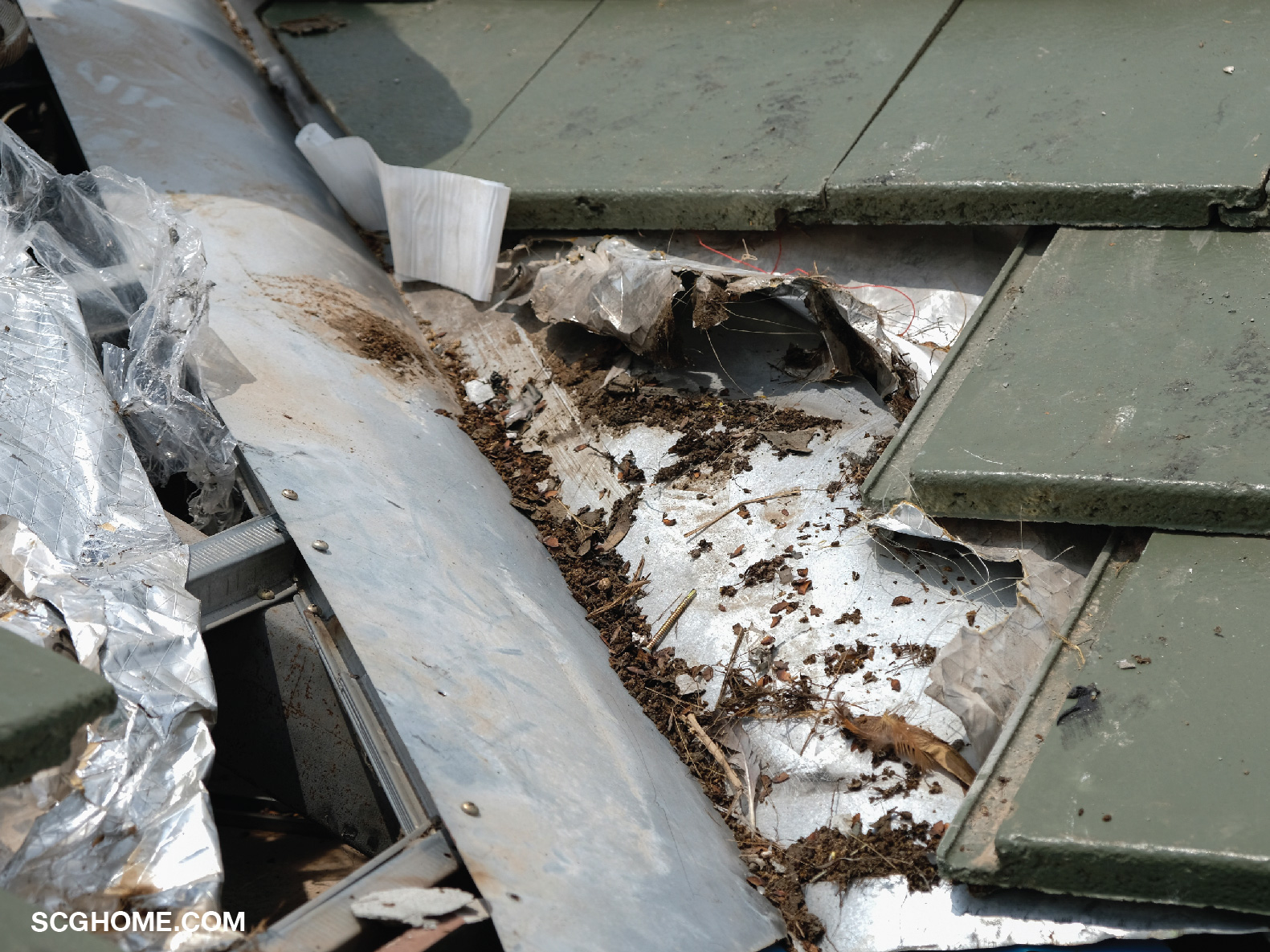 แผ่น Finishing ติดตั้งอยู่ใต้แนวรอยต่อหลังคา