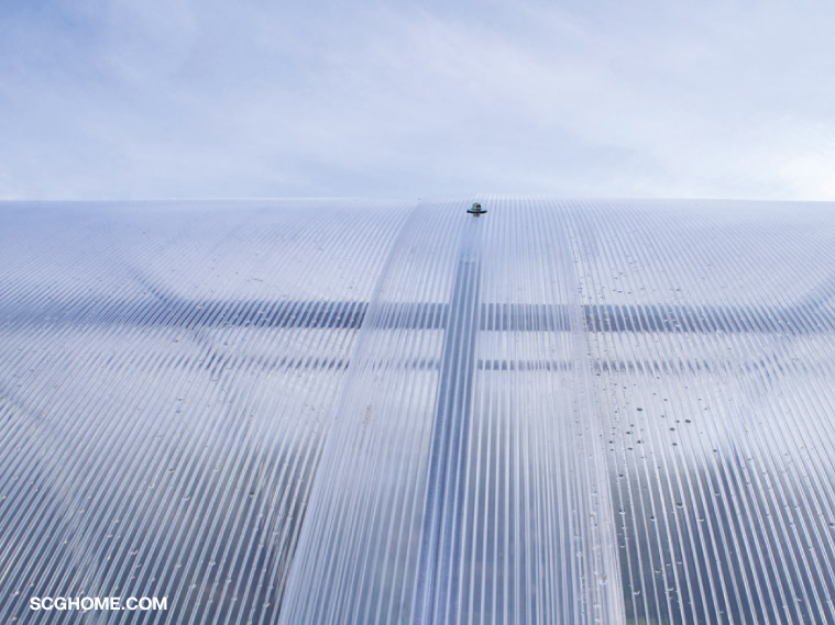 ต่อเติมครัวหลังบ้าน ต่อเติมหลังคาครัว หลังบ้าน วัสดุ หลังคา หลังคาโปร่งแสง โพลีคาร์บอเนต Polycarbornate