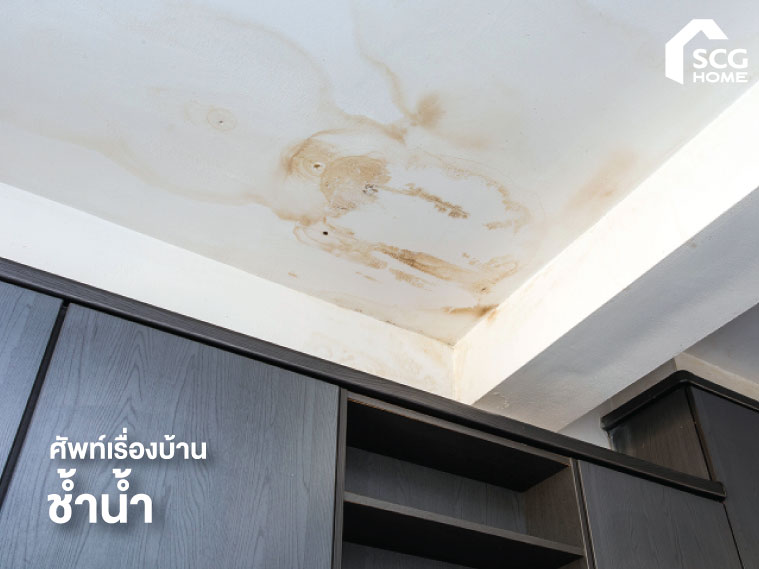 ศัพท์ช่าง: "ช้ำน้ำ" คืออะไร? ปัญหาที่ต้องระวังในการก่อสร้างและรีโนเวทบ้าน
