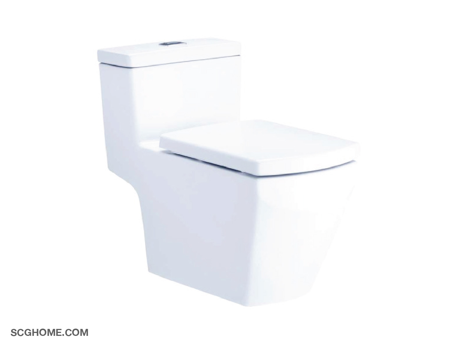 สุขภัณฑ์ระบบ Siphonic Wash Down