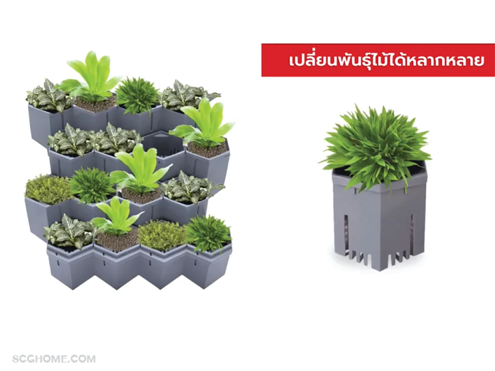 SCGHome-จัดสวนระเบียงคอนโด สวนแนวตั้ง โมดูล่า Modular Green Hive