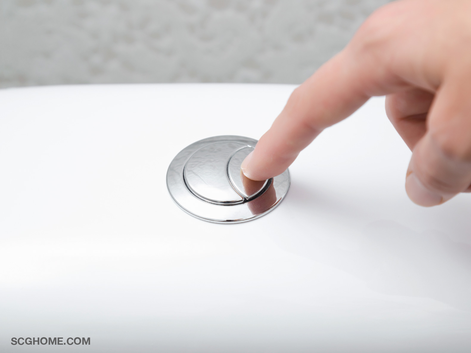 ระบบ DUAL FLUSH