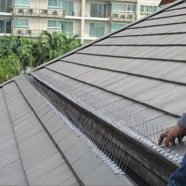 บริการติดตั้งที่กันนกเกาะและอุปกรณ์กันนกพิราบ