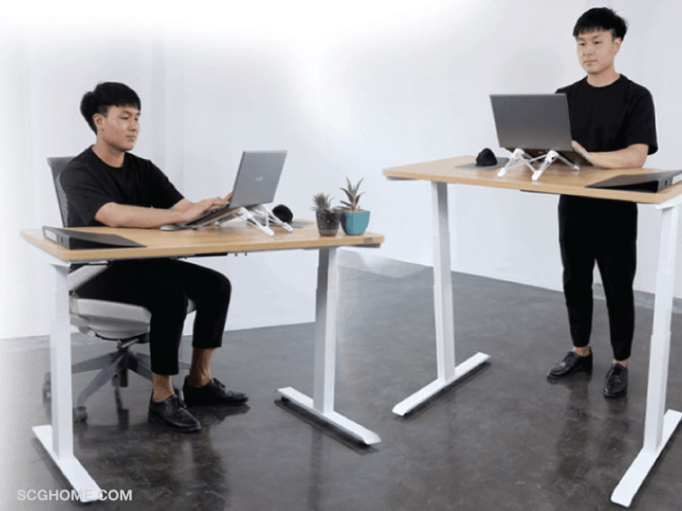 โต๊ะยืนทำงาน โต๊ะปรับระดับ โต๊ะปรับระดับได้ โต๊ะปรับระดับไฟฟ้า ยืนทำงาน standing desk bewell โต๊ะปรับระดับbewell
