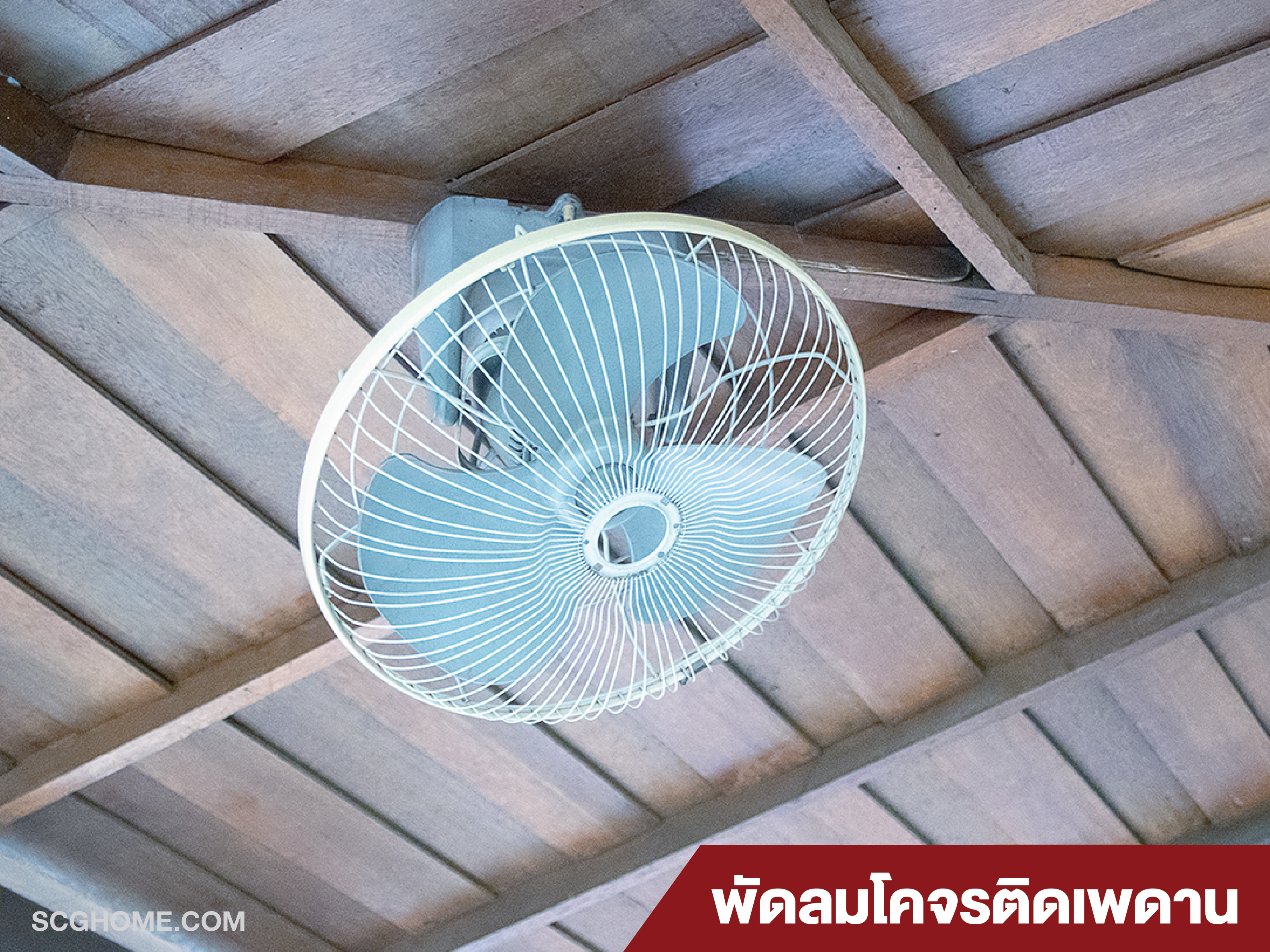พัดลมโคจร พัดลมเพดาน พัดลมโคจรติดเพดาน