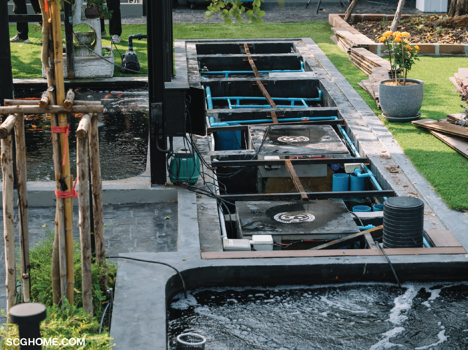 พื้นที่ของบ่อกรองจะอยู่ใกล้กับบ่อปลาคาร์ป