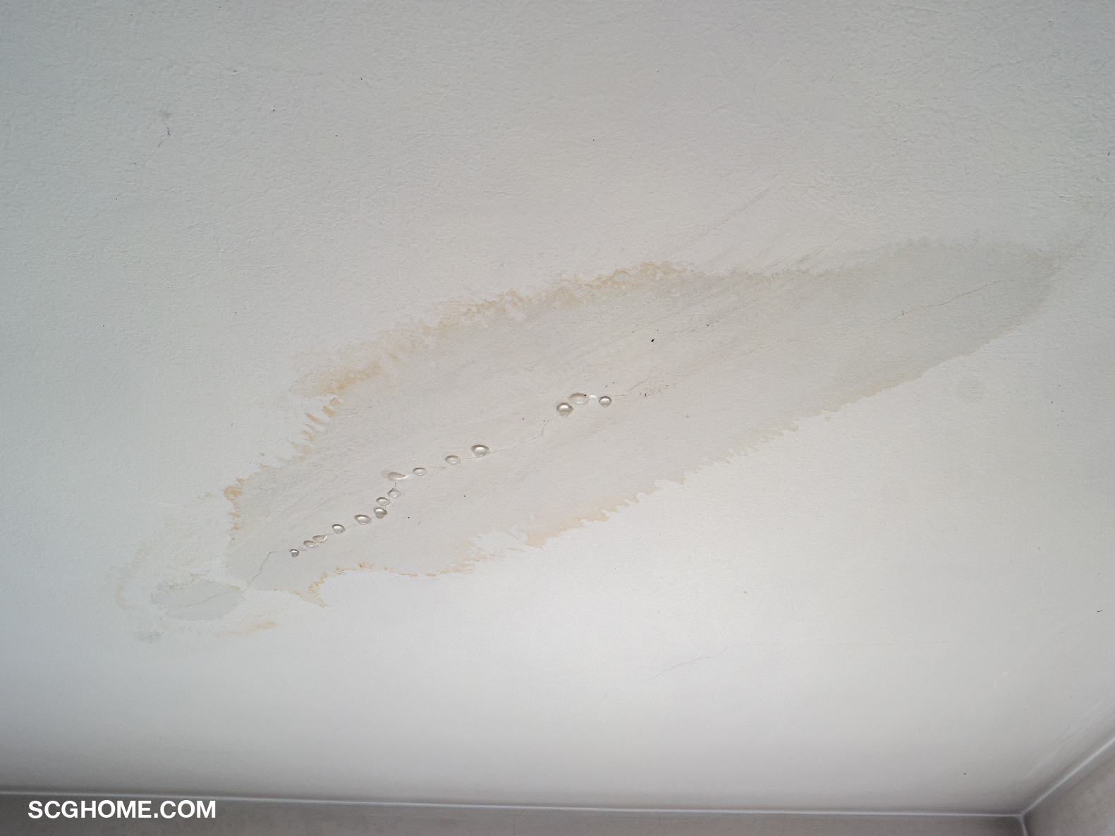 ฝ้าเพดานมีรอยด่างและน้ำหยด