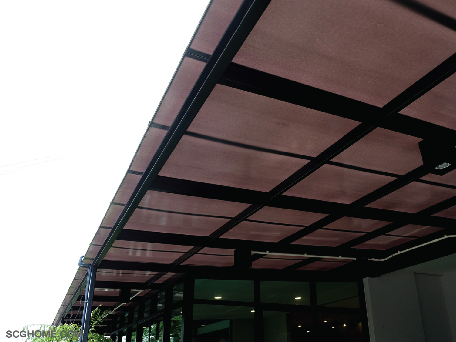 นิวไลท์