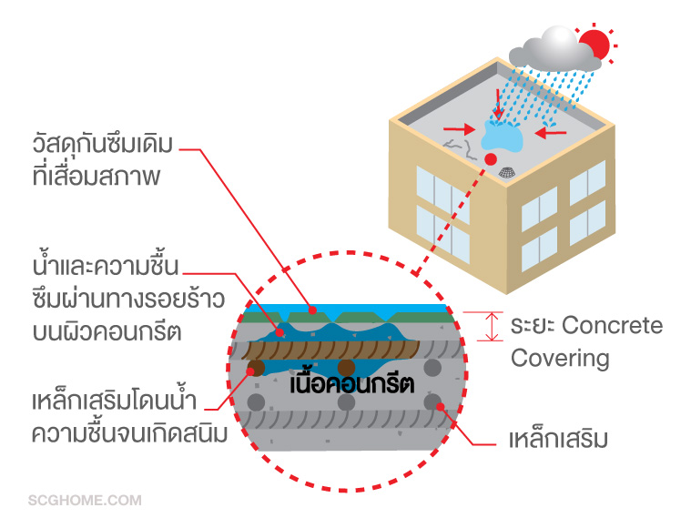 Single Image ระยะ Concrete Covering ของพื้นดาดฟ้า