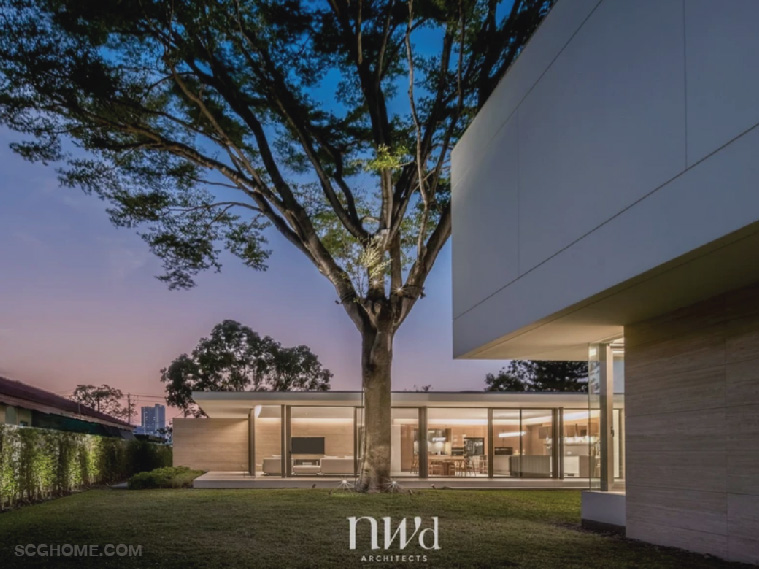 ต้นไม้ใหญ่ที่อยู่ใกล้อาคาร