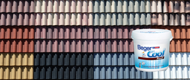 บริการทาสีหลังคา-beger