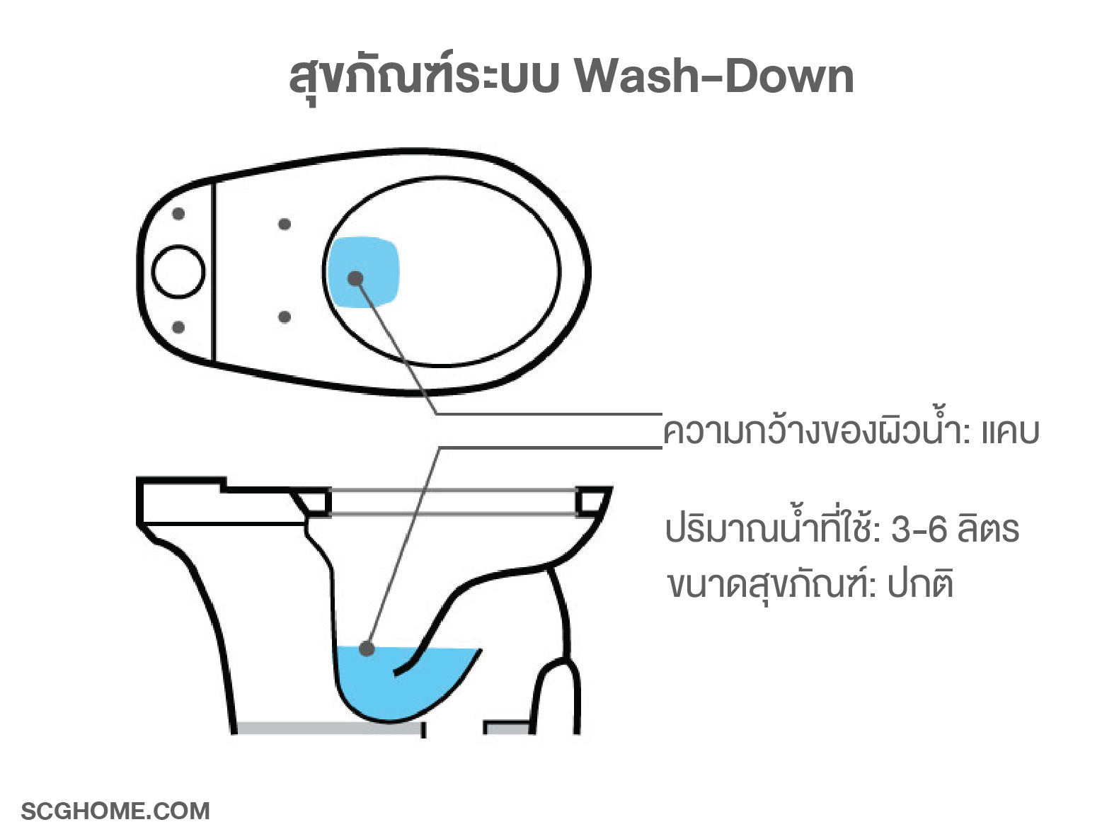 ลักษณะของสุขภัณฑ์ระบบ Wash Down