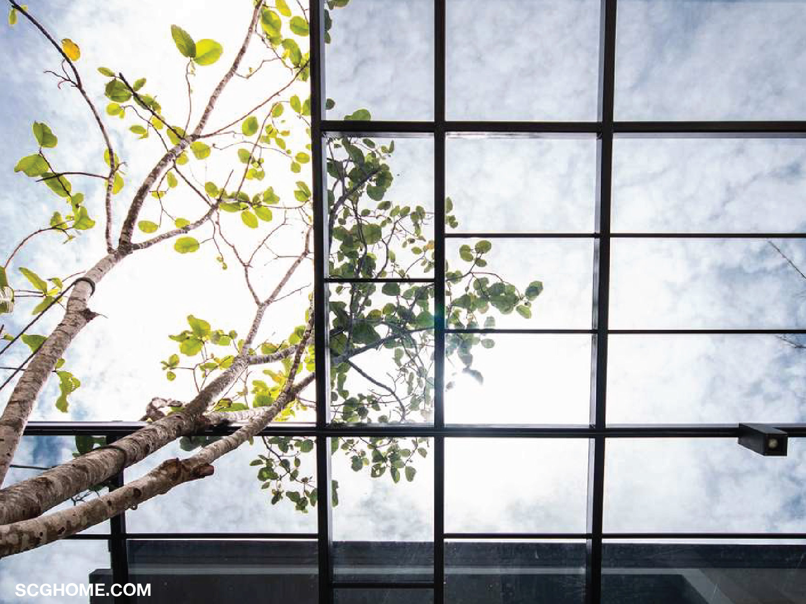 HEATCUT สีน้ำเงิน(ROYAL BLUE)