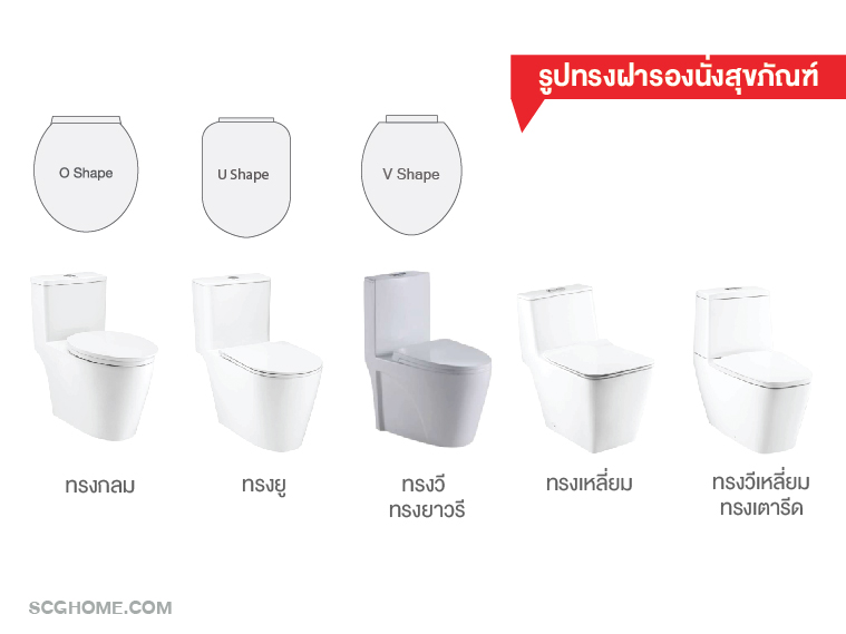 รูปทรงฝารองนั่งสุขภัณฑ์ รูปทรงฝารองนั่งชักโครก