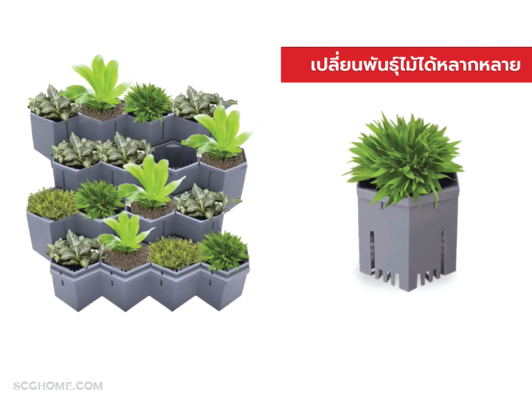 SCGHome-จัดสวนระเบียงคอนโด สวนแนวตั้ง โมดูล่า Modular Green Hive