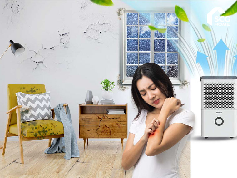 10 ประโยชน์เครื่องดูดความชื้น ที่เหมาะกับสภาพอากาศบ้านเรา