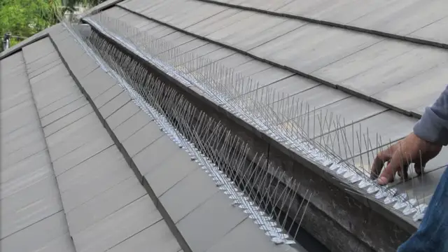 บริการติดตั้งอุปกรณ์ป้องกันนกพิราบ