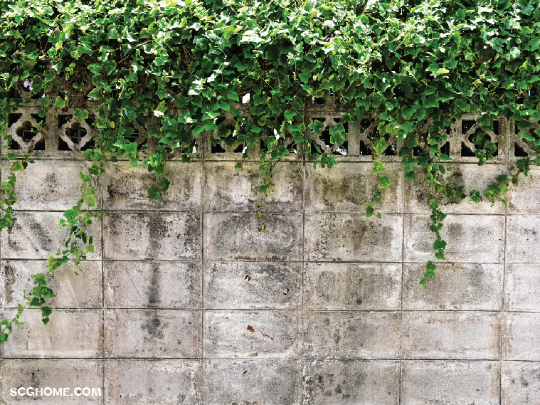 รั้วก่ออิฐบล็อก