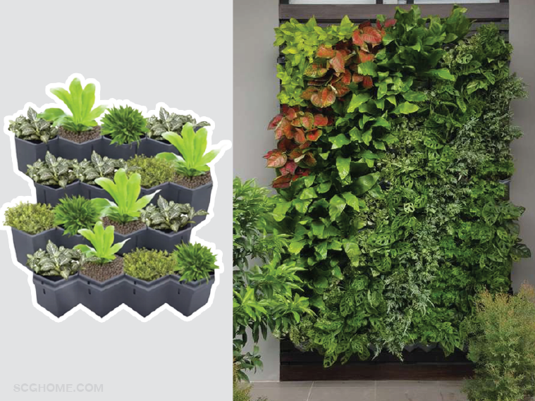 SCGHome-จัดสวน ไอเดียจัดสวน สวนแนวตั้ง โมดูล่า Modular Green Hive SCG เอสซีจี