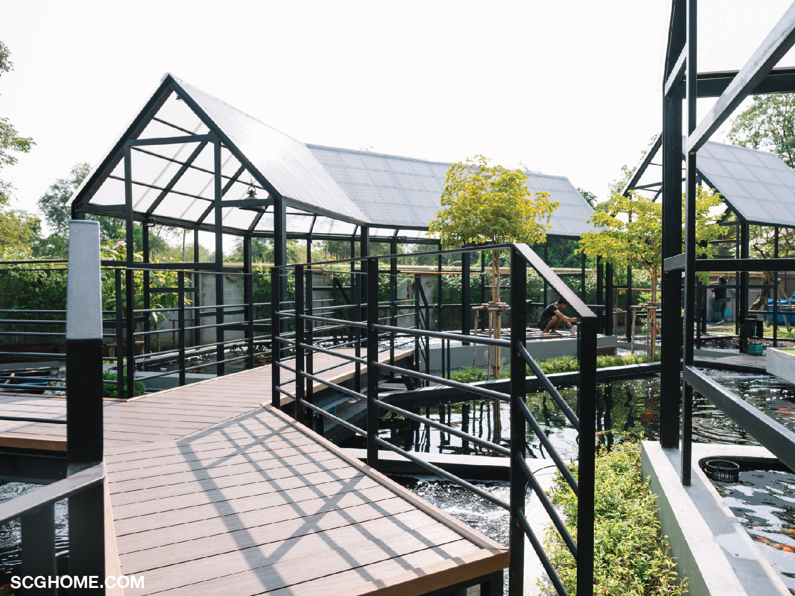 สะพานทางเดินยกสูงเหนือบ่อเลี้ยงหลัก